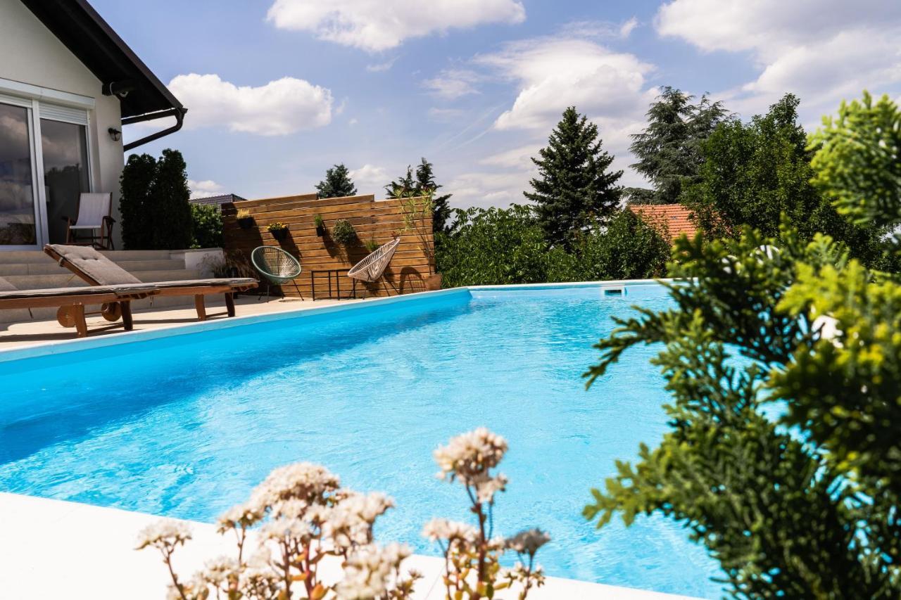Вілла Todor Boutique House Sremska Kamenica Екстер'єр фото