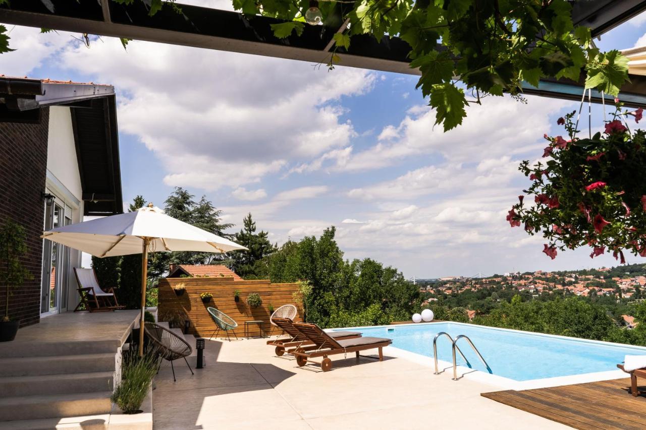 Вілла Todor Boutique House Sremska Kamenica Екстер'єр фото