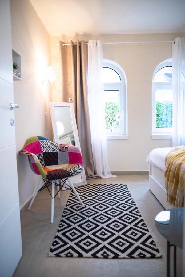 Вілла Todor Boutique House Sremska Kamenica Екстер'єр фото