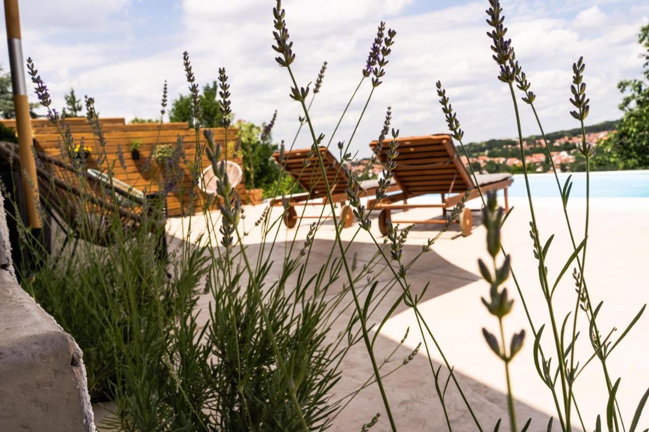 Вілла Todor Boutique House Sremska Kamenica Екстер'єр фото