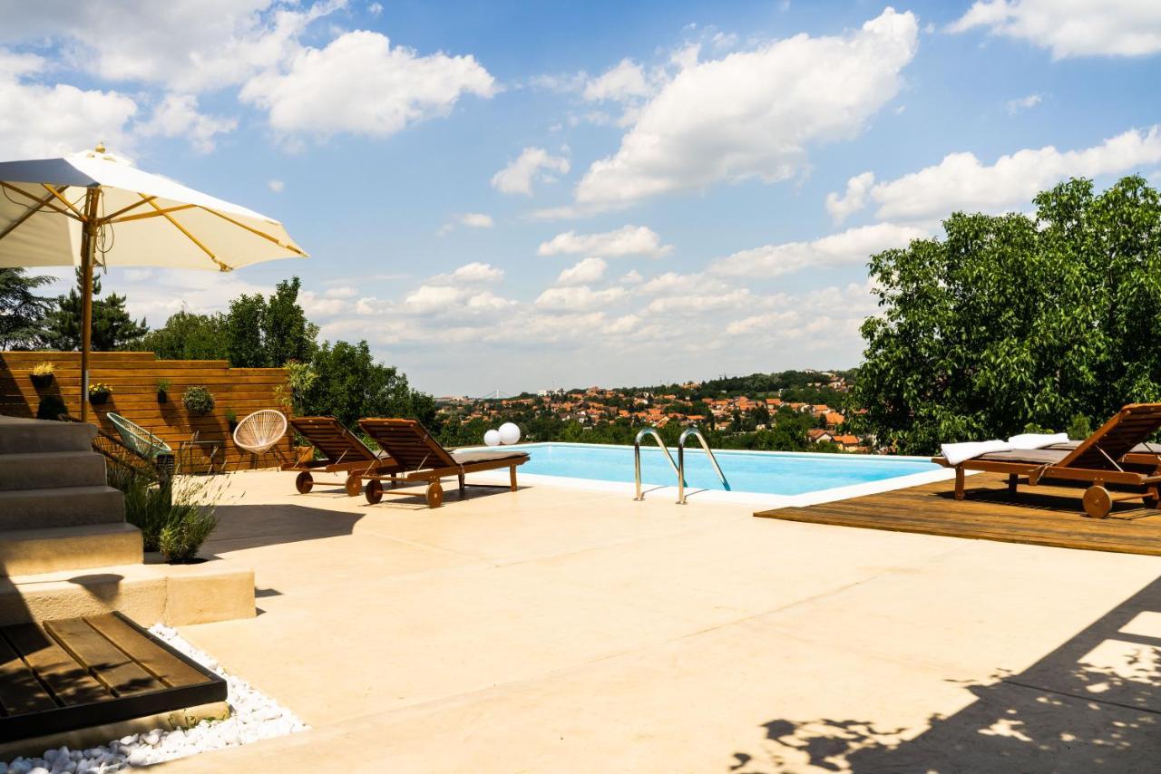 Вілла Todor Boutique House Sremska Kamenica Екстер'єр фото